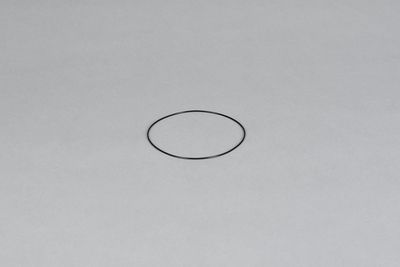 O-Ring Ø 98 x 1,5 mm 