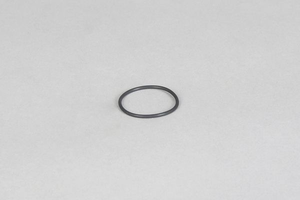 500-01-976_O-Ring.jpg